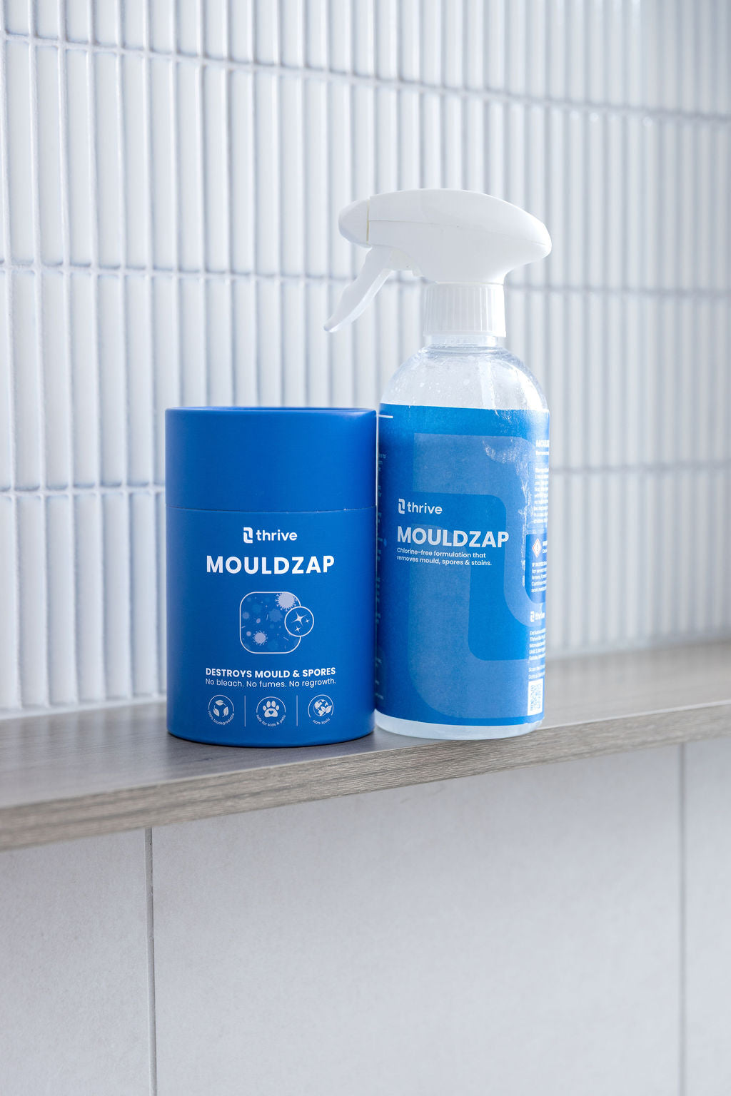 MOULDZAP Spray Bottle
