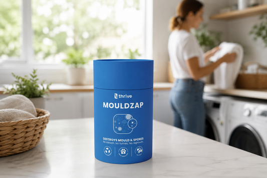 Is Black Mould Dangerous? What Every Australian Household Should Know