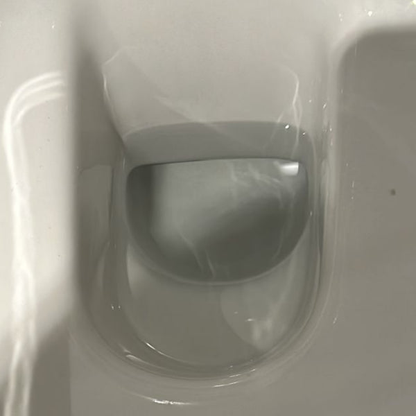 After using TOILETZAP