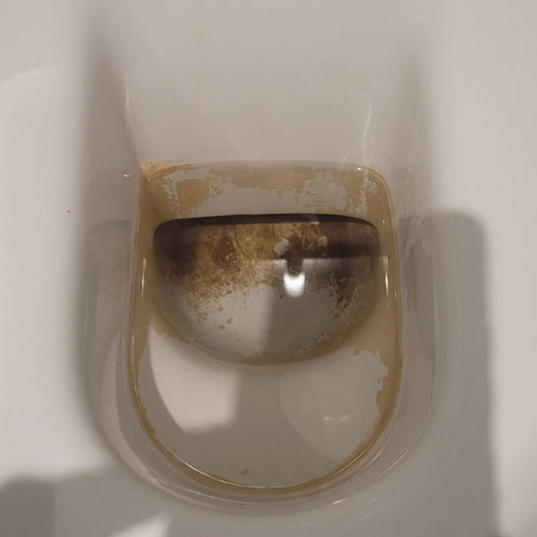 Before using TOILETZAP