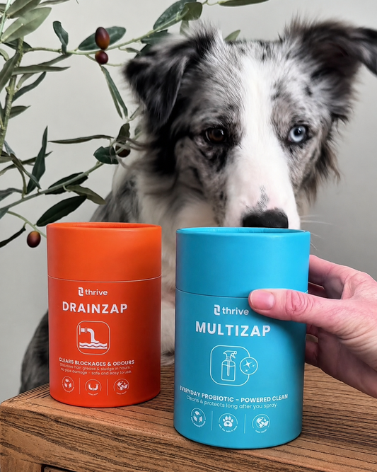 "Love your Pet" Bundle