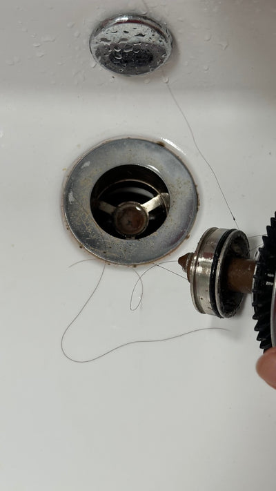 Blocked shower drain with hair before DRAINZAP treatment